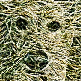 Rope Dog by Bruce Block