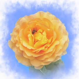 Rose and bee by Sue Leonard