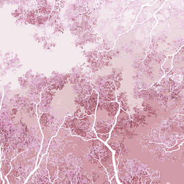 Rose quartz by Moira Risen