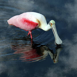 Roseate 14A by Sally Fuller