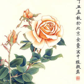 Roses - Aotearoa by Zhang Guizheng