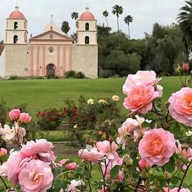 Roses Bloom by Santa Barbara Mission by Barbara Siegel