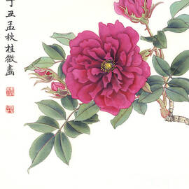 Roses - Rosa Rugosa by Zhang Guizheng