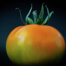 Rotund Mr. Stripey by Joe Schofield