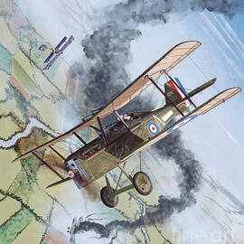 Royal Aircraft Factory S.E.5a by Steve Ferguson
