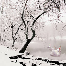 January Journey by Jessica Jenney