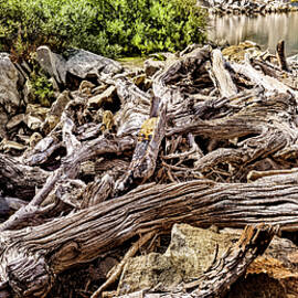 Ruby Lake 4 Panorama by Kelley King