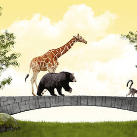 Runaways by Moira Risen