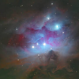 Running Man by Bruce Feagle