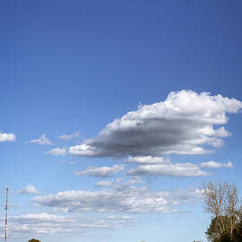 Rural Landscape by Travel Essayist