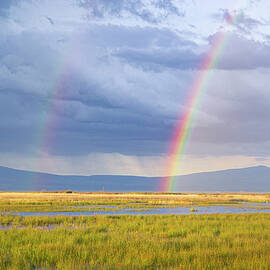 Rural Rainbow by Mike Lee