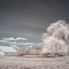 Rural Scene in Invisible Light - Klamath Falls Oregon by Mike Lee