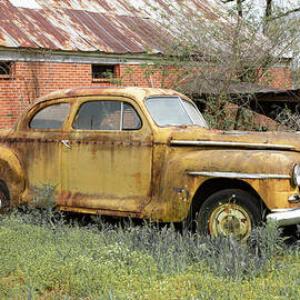 Rust in Peace 11C by Sally Fuller