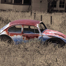 Rust in Peace 1A by Sally Fuller