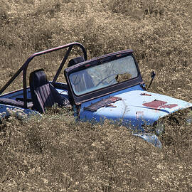 Rust in Peace 5A by Sally Fuller