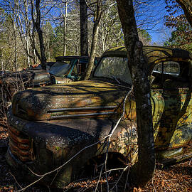 Rusty Ford in Enchanted Forest by Anthony Hightower