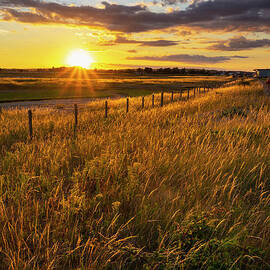 Rye Harbour Nature Reserve at Sunset, East Sussex, UK by Neale And Judith Clark