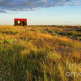 Red Roofed Hut - Rye Harbour Nature Reserve, East Sussex, UK by Neale And Judith Clark