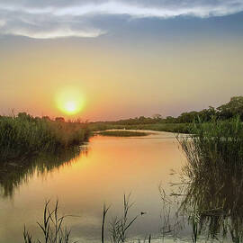Sabi Sands River by Rebecca Herranen