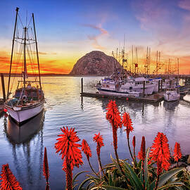 Safe Haven by Beth Sargent