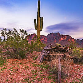 Saguaro Superstitions Sunset, Arizona by Abbie Matthews