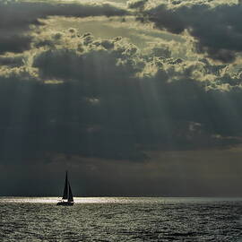 Sailing Into The Sunshine Reflection by Dale Kauzlaric