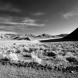 Saline Valley Road  by Joe Schofield