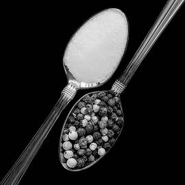 Salt And Pepper BW by Susan Candelario