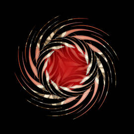 Samurai Star by David Manlove