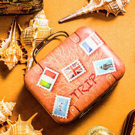 Sand sea shells and suitcases by Jorgo Photography