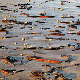 Sand Stories 1 by Nicholas Blackwell