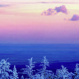 Sandia Crest View Albuquerque New Mexico by Tommy Farnsworth