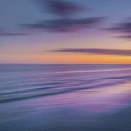 Sanibel dreams