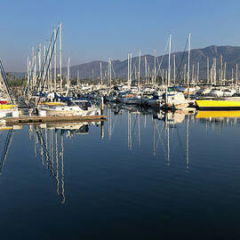 Santa Barbara Harbor Early Morning by Barbara Siegel