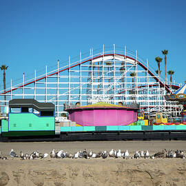 Santa Cruz Boardwalk Amusement Park and Seagulls by Mary Lee Dereske