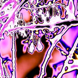 Sask- Vibrant Pink Bunch