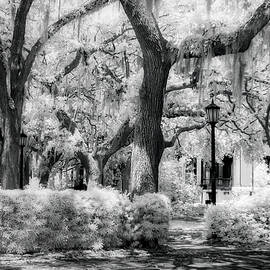 Savannah GA IR Park by Susan Candelario