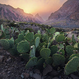 Safe Haven by Slow Fuse Photography