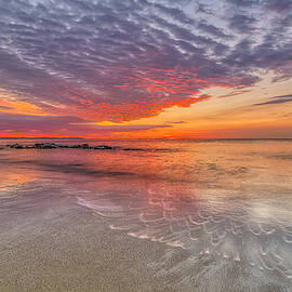 Scalloped Edges by Penny Polakoff