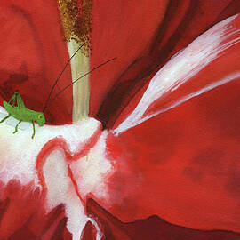 Scarlet and White Gladiolus, August Birth Flower by Elizabeth Reich