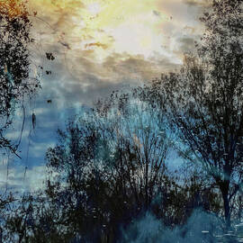 Scene 255B by Sally Fuller