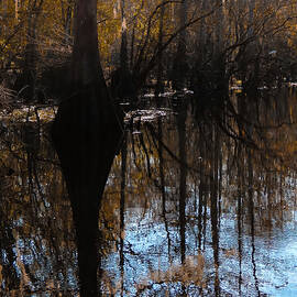 Scene-286B by Sally Fuller