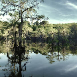 Scene 343B by Sally Fuller