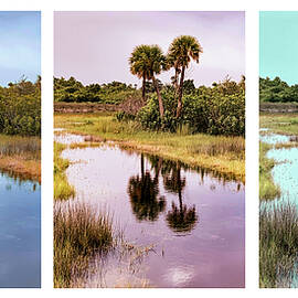 SCENE 53 H-I-L by Sally Fuller