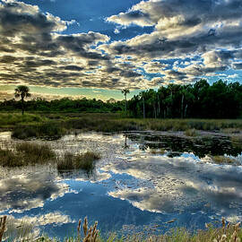 SCENE 90D by Sally Fuller