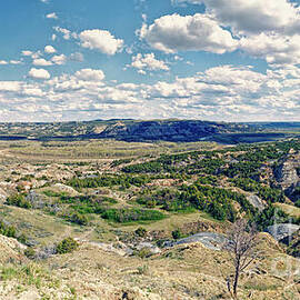 Scenic Badlands at Oxbow Overlook in Theodore Roosevelt NP by Natural Focal Point Photography
