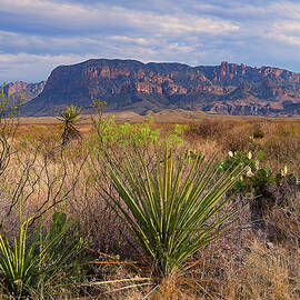 Scenic Desert Landscape with Mountains by Michael Collins