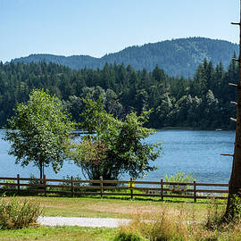 Lake Padden in Summer by Tom Cochran