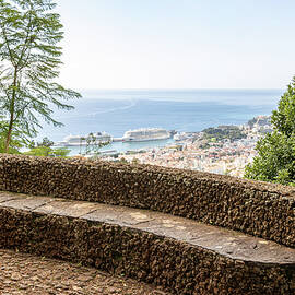Scenic Overlook by Shirley Mitchell
