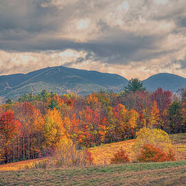 Scenic Sugar Hill by Penny Polakoff